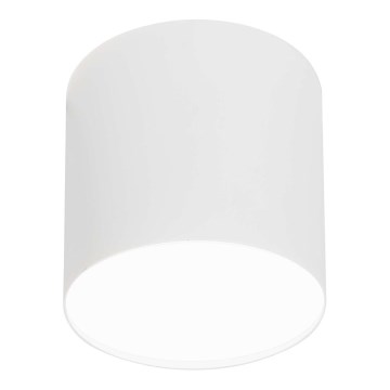 LED stropna svjetiljka 1xGU10/35W/230V
