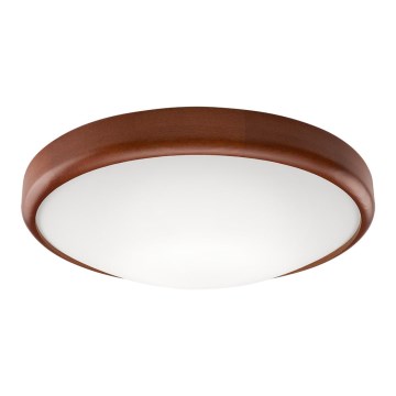 LED Stropna svjetiljka 1xLED/24W/230V