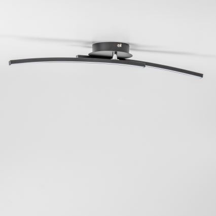 LED stropna svjetiljka 2xLED/6W/230V crna