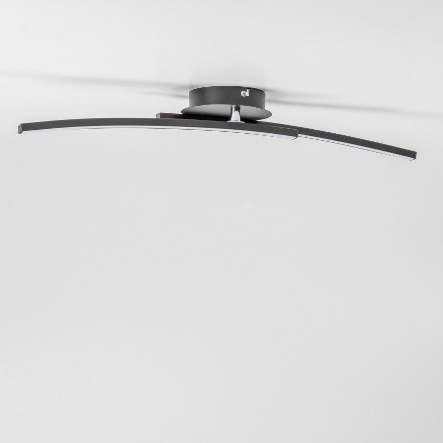 LED stropna svjetiljka 2xLED/6W/230V crna