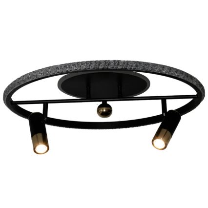LED Dimmabilno stropno svjetlo LED/60W/230V 3000-6500K crno + daljinski upravljač