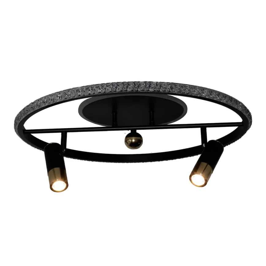 LED Dimmabilno stropno svjetlo LED/60W/230V 3000-6500K crno + daljinski upravljač