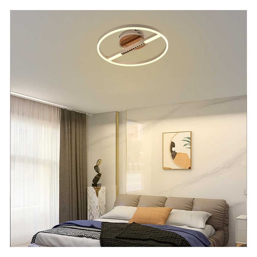 LED Dimmabilno stropno svjetlo LED/60W/230V 3000-6500K + daljinski upravljač