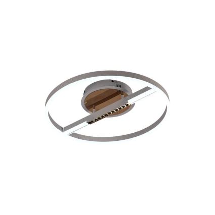 LED Dimmabilno stropno svjetlo LED/60W/230V 3000-6500K + daljinski upravljač