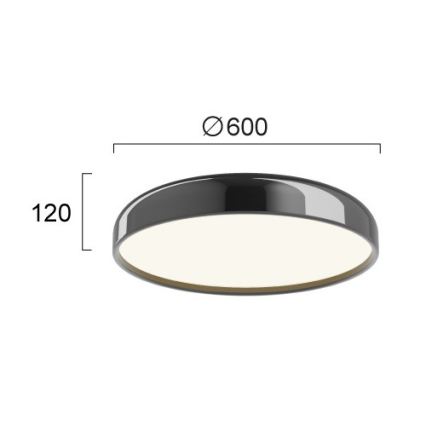 LED stropna svjetiljka ALENSA LED/60W/230V crna