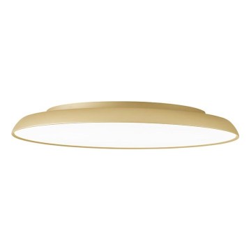 LED stropna svjetiljka ART LED/40W/230V zlatna