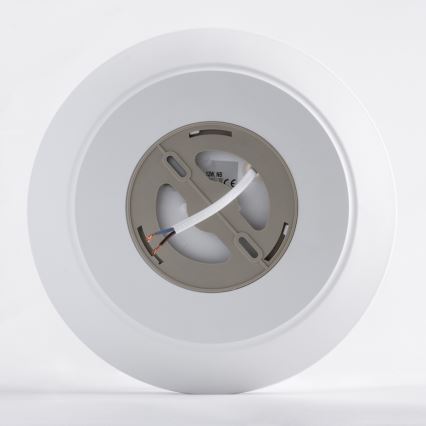 LED Stropna svjetiljka AVESTA LED/12W/230V 4000K IP54