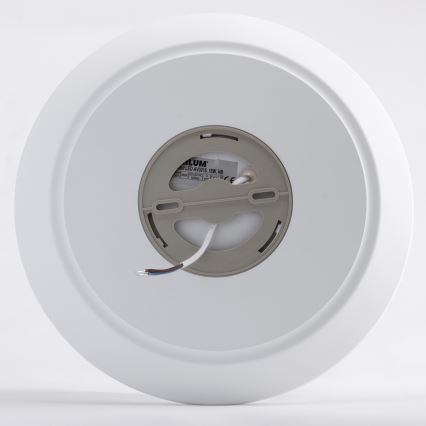 LED Stropna svjetiljka AVESTA LED/18W/230V 4000K IP54
