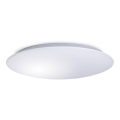 LED Stropna svjetiljka AVESTA LED/45W/230V 4000K IP54