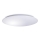 LED Stropna svjetiljka AVESTA LED/45W/230V 4000K IP54