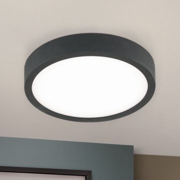 LED Stropna svjetiljka BULLY LED/12W/230V pr. 14 cm crna