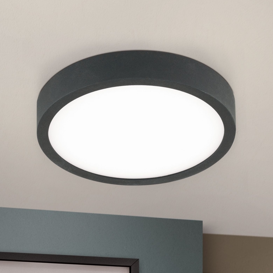 LED Stropna svjetiljka BULLY LED/12W/230V pr. 14 cm crna