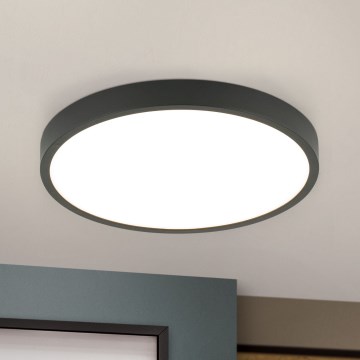 LED Stropna svjetiljka BULLY LED/24W/230V pr. 24 cm crna