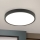 LED Stropna svjetiljka BULLY LED/24W/230V pr. 24 cm crna