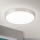 LED Stropna svjetiljka BULLY LED/28W/230V pr. 28 cm mat krom