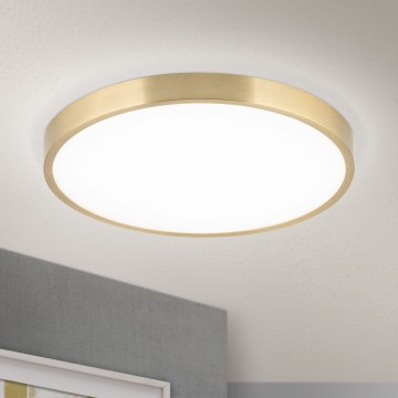 LED Stropna svjetiljka BULLY LED/28W/230V pr. 28 cm zlatna