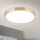 LED Stropna svjetiljka BULLY LED/28W/230V pr. 28 cm zlatna