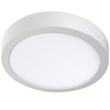 LED Stropna svjetiljka CARSA LED/24W/230V 4000K bijela pr. 30 cm