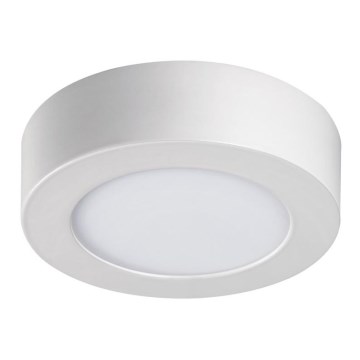 LED Stropna svjetiljka CARSA LED/6W/230V 4000K bijela pr. 11,9 cm