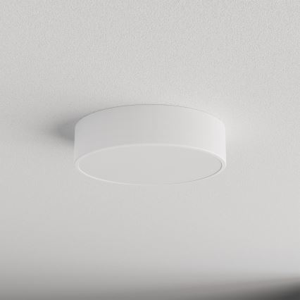 LED Stropna svjetiljka CLEO LED/24W/230V 3000K pr. 30 cm bijela