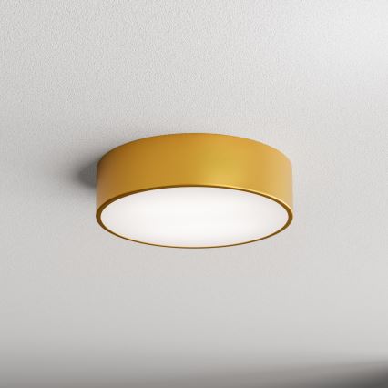 LED Stropna svjetiljka CLEO LED/24W/230V 3000K pr. 30 cm zlatna