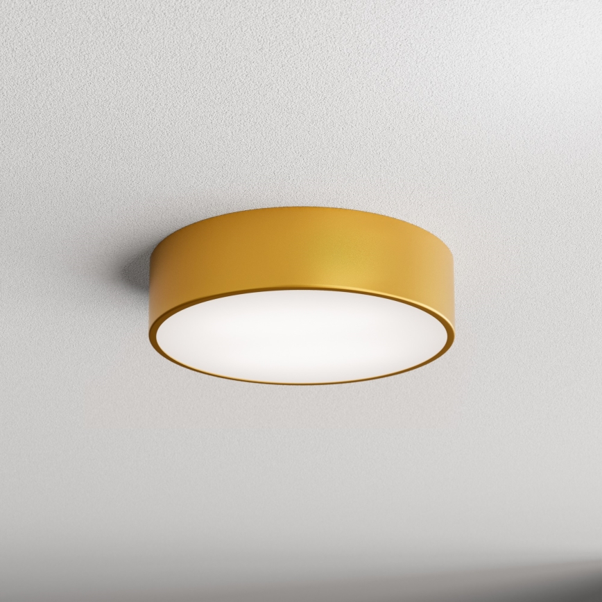 LED Stropna svjetiljka CLEO LED/24W/230V 3000K pr. 30 cm zlatna