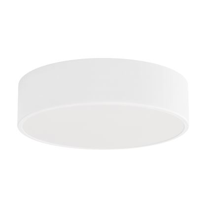 LED Stropna svjetiljka CLEO LED/24W/230V 4000K pr. 30 cm bijela