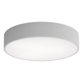 LED Stropna svjetiljka CLEO LED/43W/230V 3000K pr. 40 cm siva