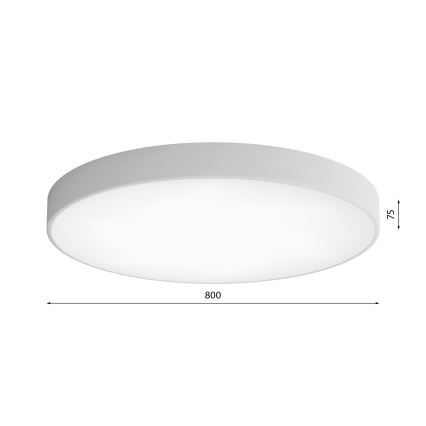 LED Stropna svjetiljka CLEO LED/96W/230V 3000K pr. 80 cm siva