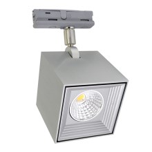 LED Stropna svjetiljka DAU SPOT MONOFASE LED/10W/230V