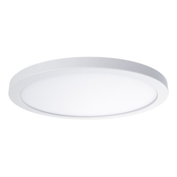 LED stropna svjetiljka EVORA LED/18W/230V 3000/4000/6000K Ø 22,5 cm bijela