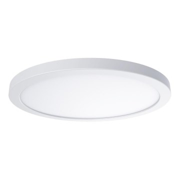 LED stropna svjetiljka EVORA LED/24W/230V 3000/4000/6000K Ø 30 cm bijela