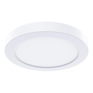 LED stropna svjetiljka EVORA LED/6W/230V 3000/4000/6000K Ø 14 cm bijela