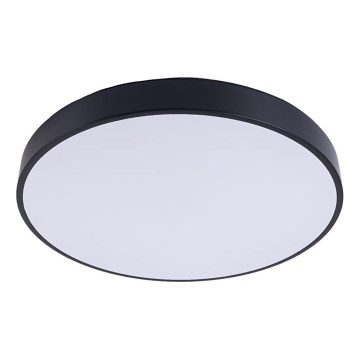LED Stropna svjetiljka FELIZ LED/30W/230V 4000K pr. 30 cm crna