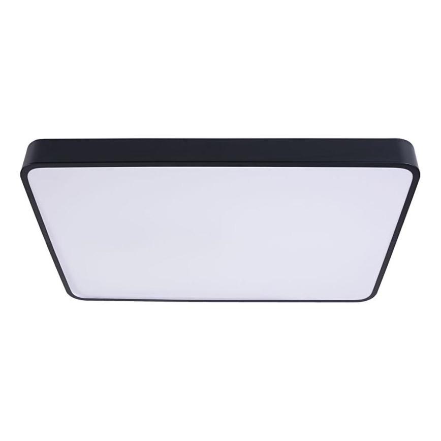 LED Stropna svjetiljka FELIZ LED/40W/230V 4000K 40x40 cm crna