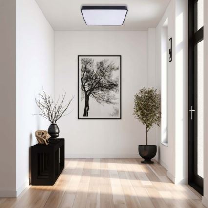 LED Stropna svjetiljka FELIZ LED/40W/230V 4000K 40x40 cm crna