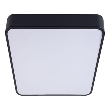 LED Stropna svjetiljka FELIZ LED/50W/230V 4000K 40x60 cm crna