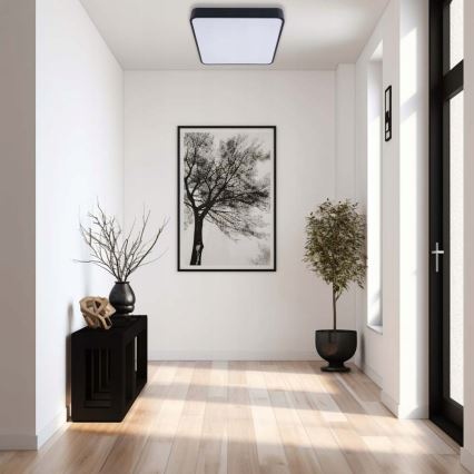LED Stropna svjetiljka FELIZ LED/50W/230V 4000K 40x60 cm crna
