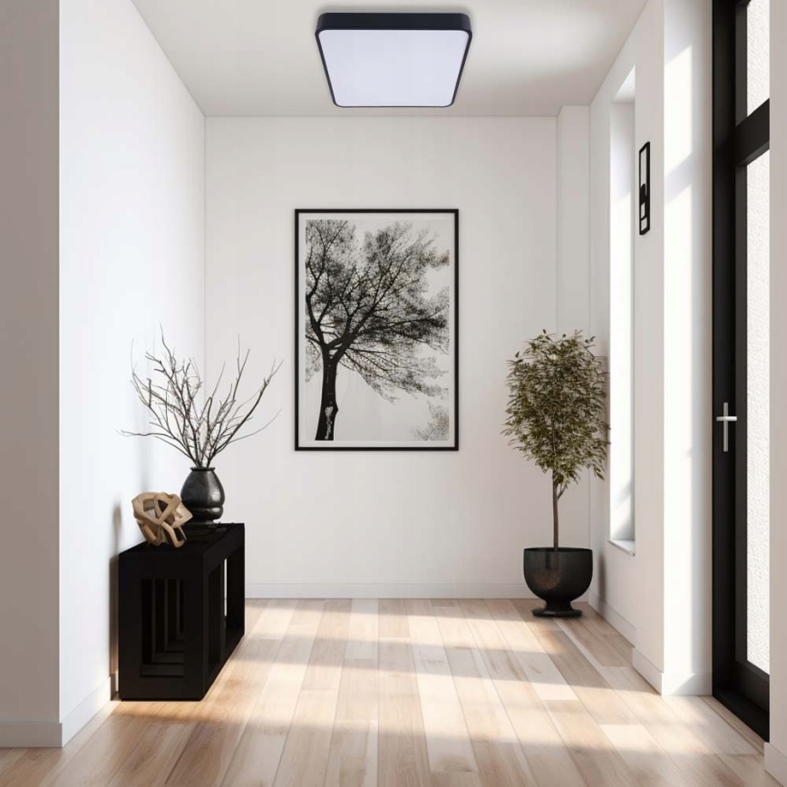 LED Stropna svjetiljka FELIZ LED/50W/230V 4000K 40x60 cm crna