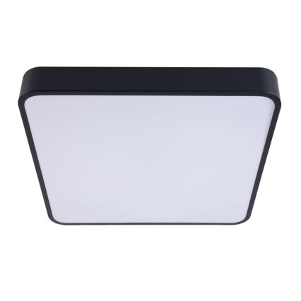 LED Stropna svjetiljka FELIZ LED/50W/230V 4000K 40x60 cm crna