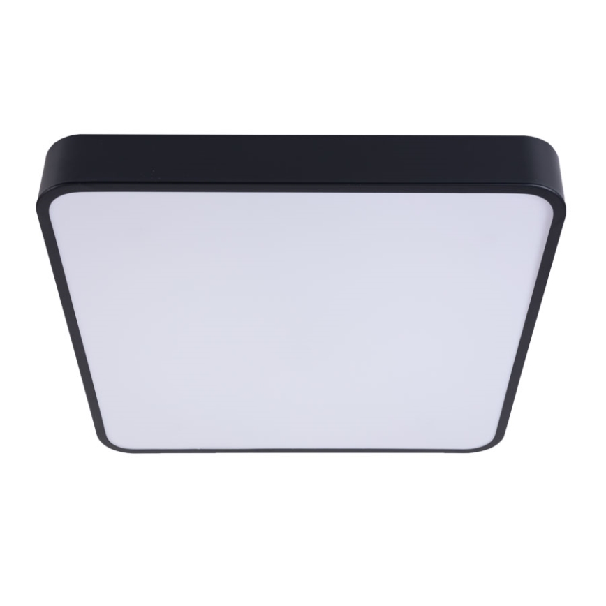 LED Stropna svjetiljka FELIZ LED/50W/230V 4000K 40x60 cm crna