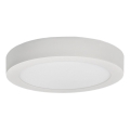 LED Stropna svjetiljka FENIX LED/12W/230V 2800K promjer 17 cm