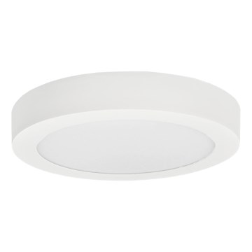 LED Stropna svjetiljka FENIX LED/12W/230V 2900/3900/5800K pr. 16,8 cm bijela