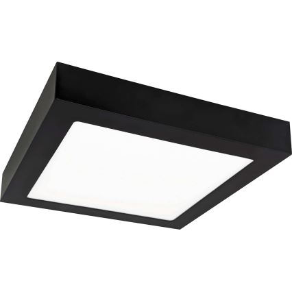 LED Stropna svjetiljka FENIX LED/12W/230V 3800K 17 cm