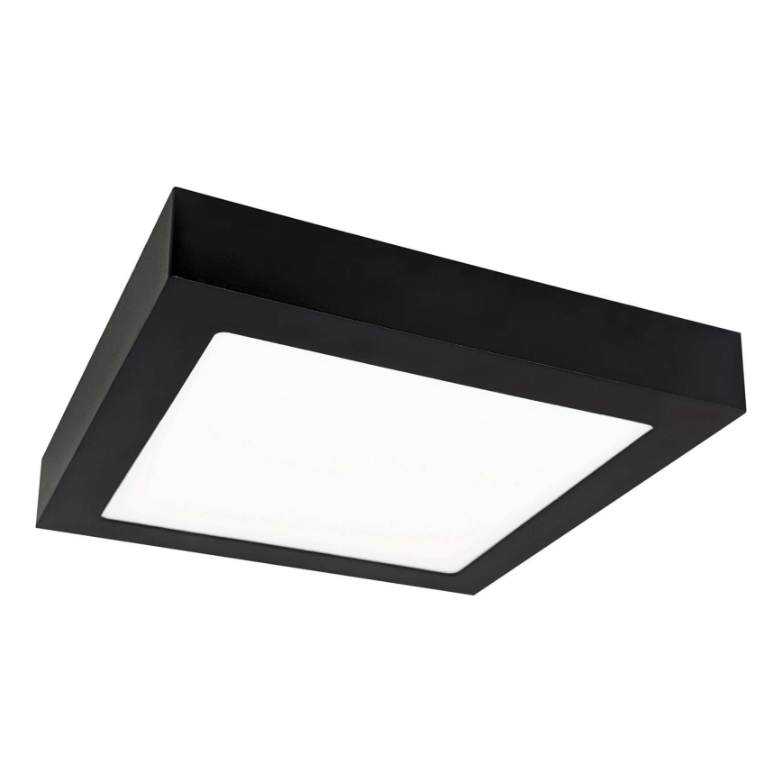 LED Stropna svjetiljka FENIX LED/12W/230V 3800K 17 cm