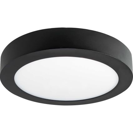 LED Stropna svjetiljka FENIX LED/12W/230V 3800K pr. 17 cm