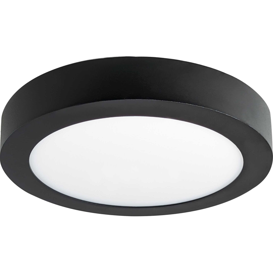 LED Stropna svjetiljka FENIX LED/12W/230V 3800K pr. 17 cm