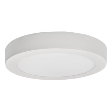 LED Stropna svjetiljka FENIX LED/12W/230V 3800K promjer 17 cm
