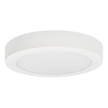 LED Stropna svjetiljka FENIX LED/12W/230V 3800K promjer 17 cm snježno bijela