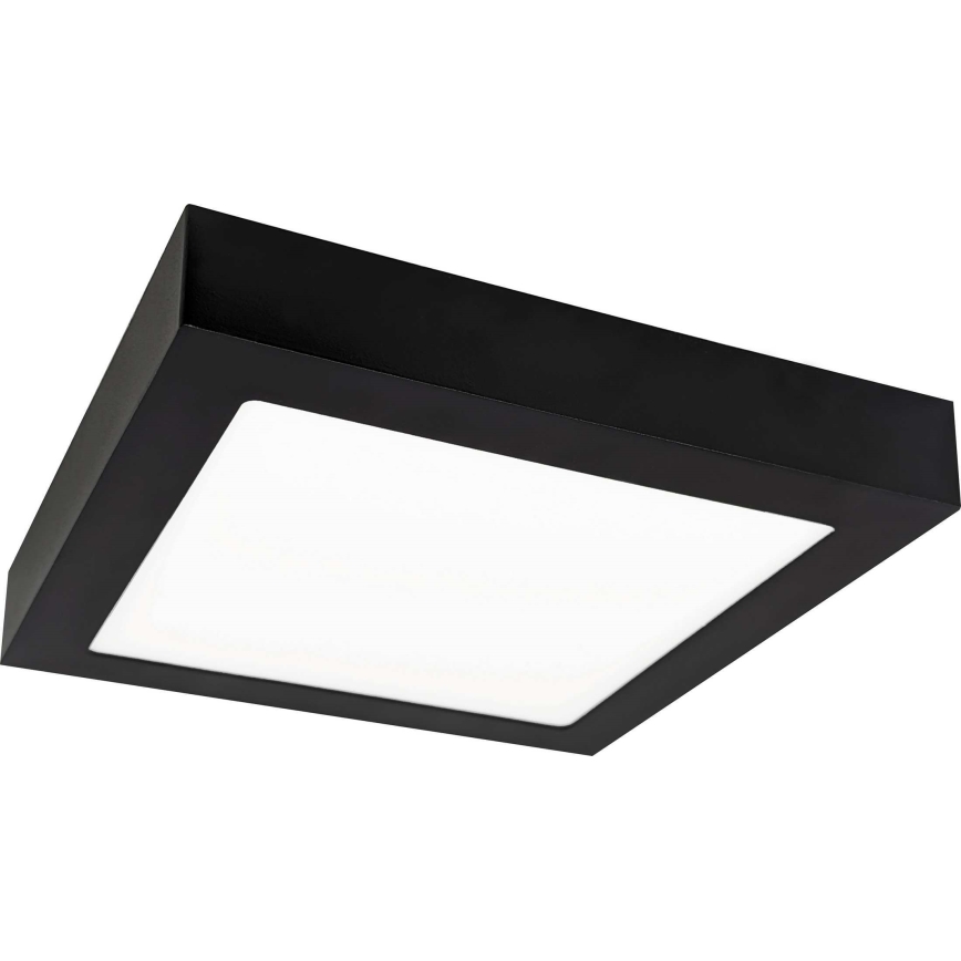 LED Stropna svjetiljka FENIX LED/18W/230V 2800K 22,5 cm